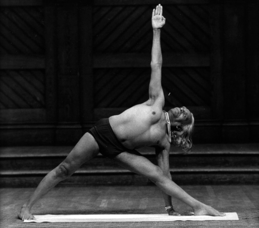 The art of yoga — Light on Yoga Institute: Iyengar Yoga Center of Grand  Rapids