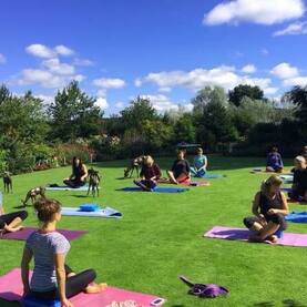 Picture of Yoga on the Lawn Larch Cottages